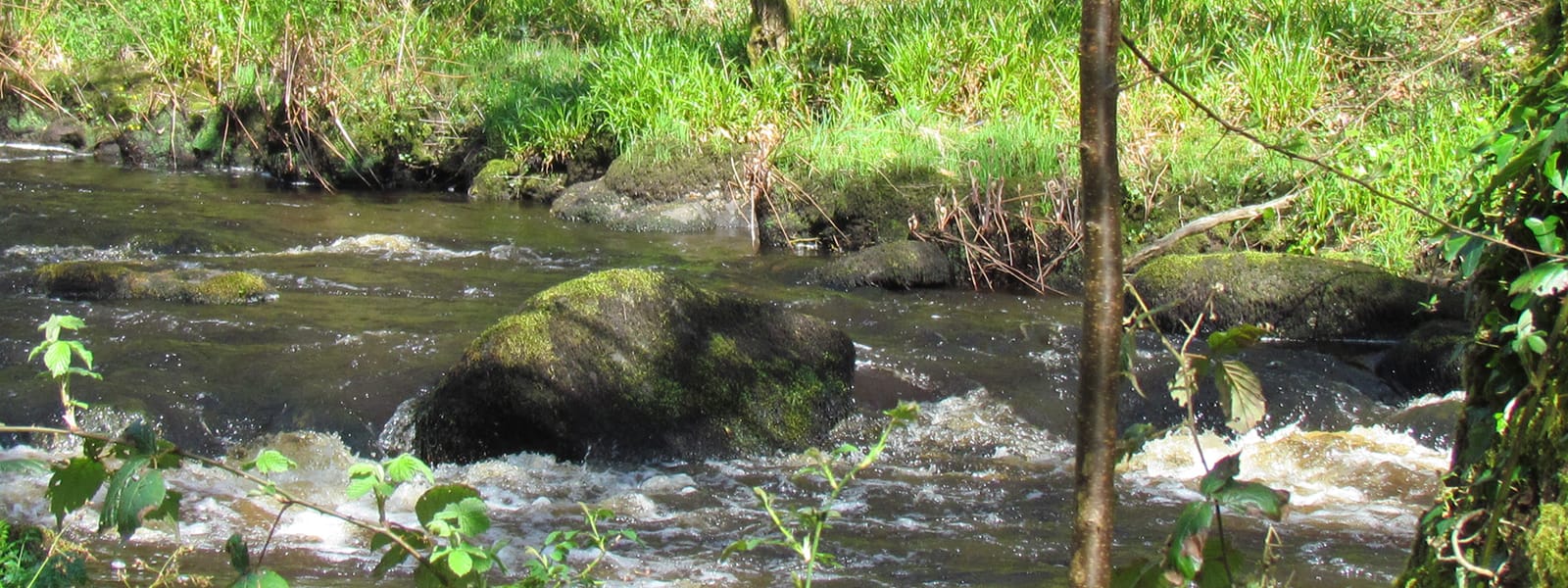 ruisseau ruisseau