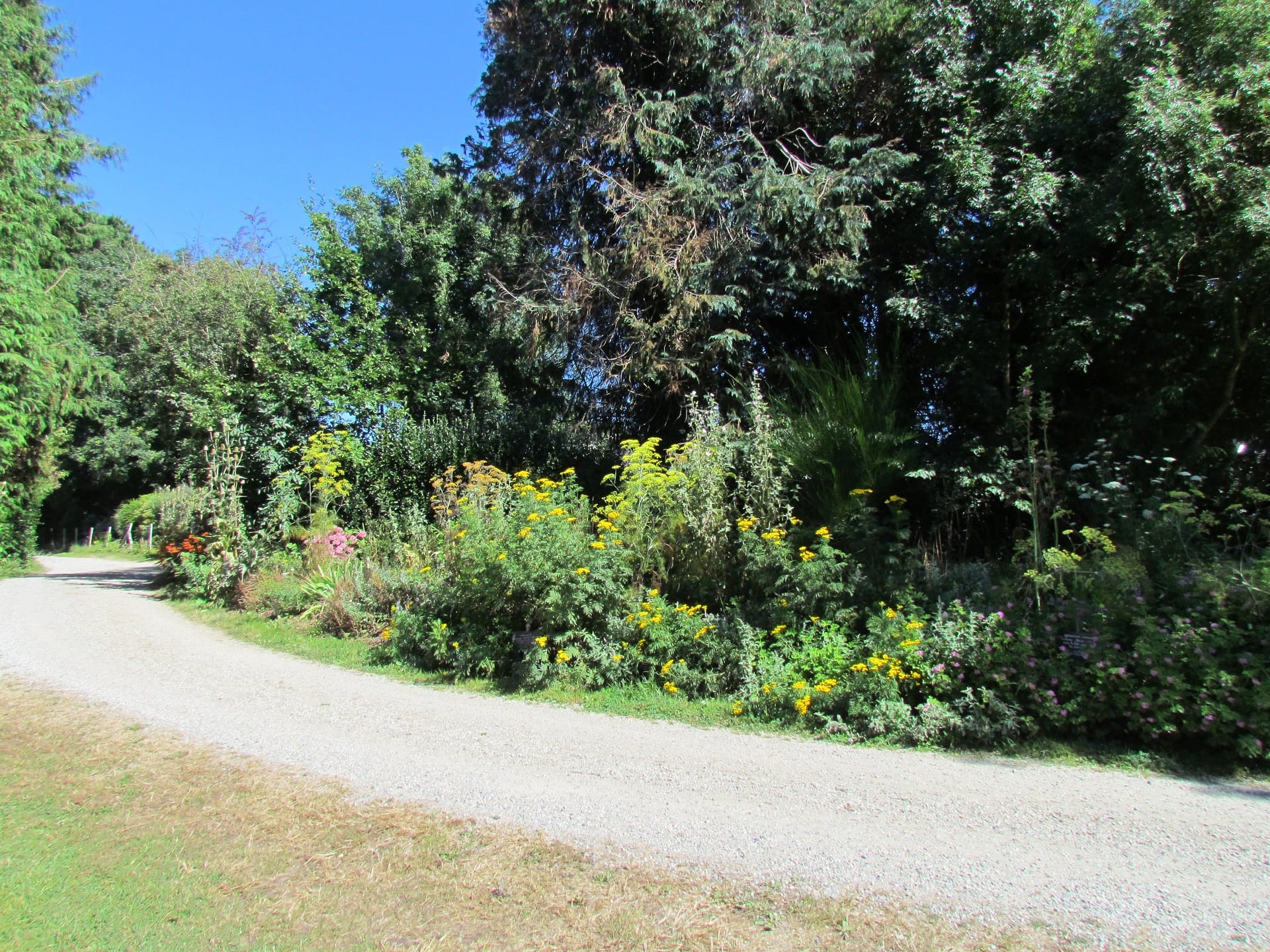 talus plantes aromatiques